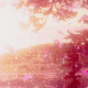 Project thumbnail