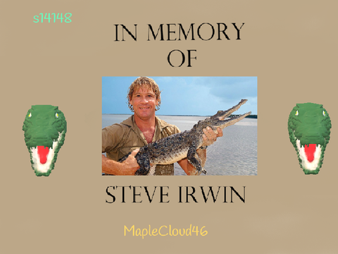Steve Irwin Tribute remix
