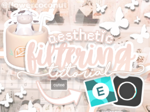 ☾ aesthetic filtering tutorial ☽