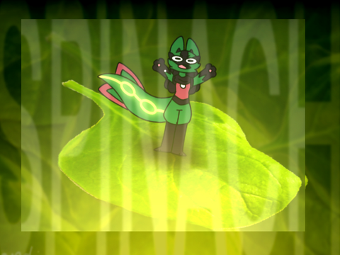 Spinach 