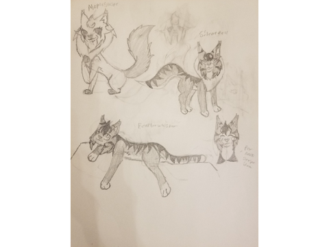 Drawings of my OwlClan OCs