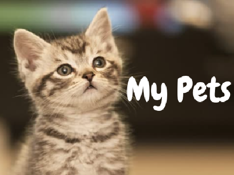My Pets