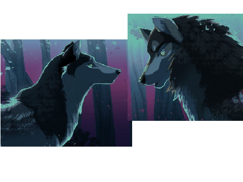 matching pfp