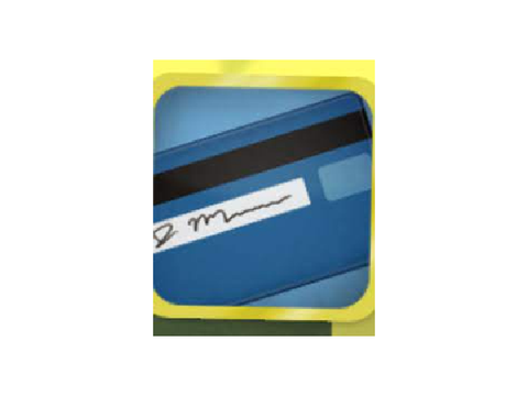 Someone Else's Credit Card