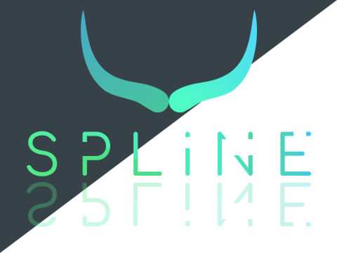 S P L I N E  
