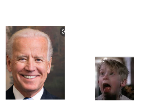 i am not afraid of biden