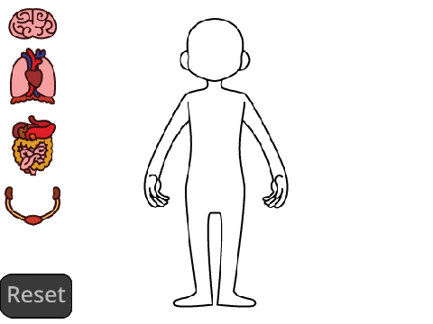 Build a Body