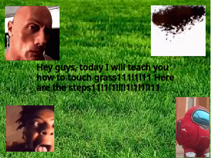 How to Touch Grass :0