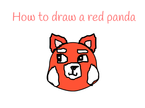 How to Draw a Red Panda 