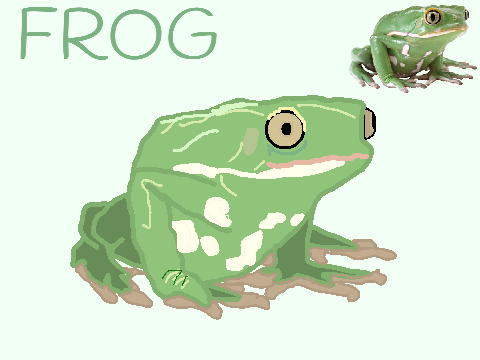 FROG