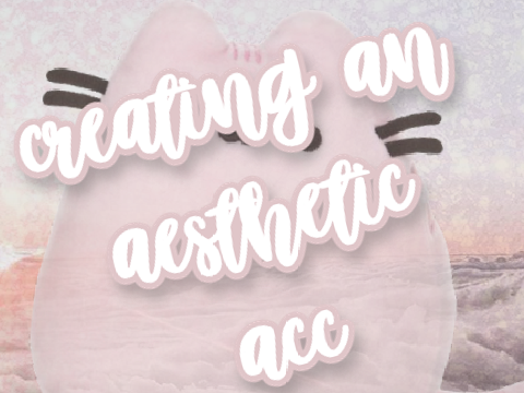 creating an aesthetic acc
