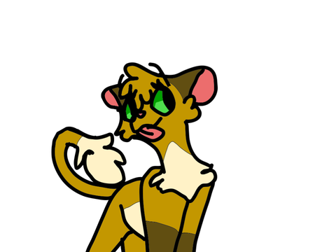 Lion Designs
