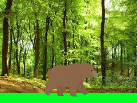 bear forest walk | :/