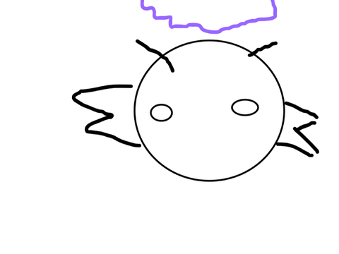 WIP, first animation