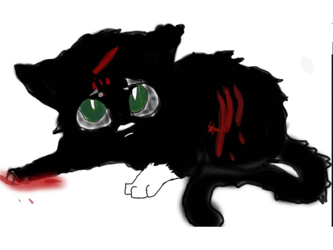 Would you save this kitten?