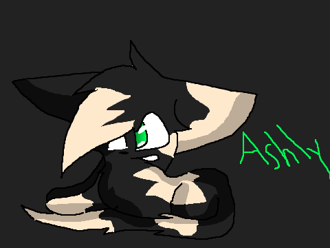 i drew my cat