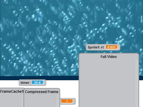 Skylight Video Compression Codec Scanner