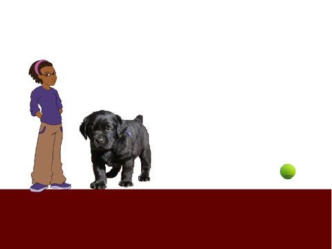Dog animation