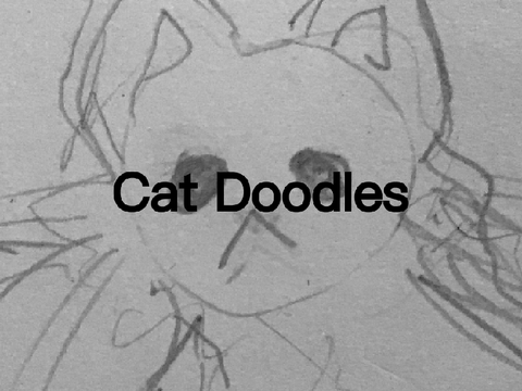 Cat Doodles