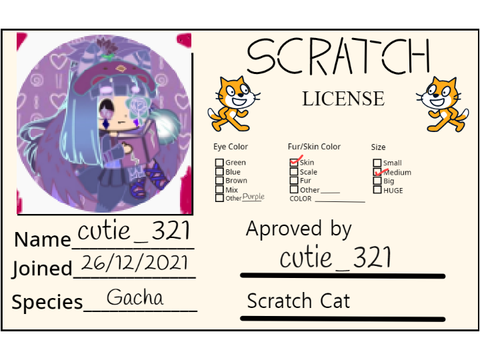 Make Your Own Scratch License remix