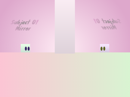 Mirror Room