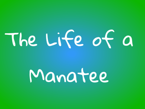 ♥The Life of a Manatee♥