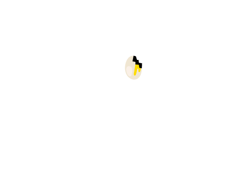 The egg