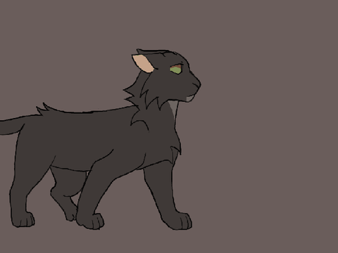 hollyleaf animation