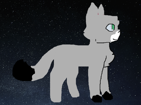  ׂ⋆ ˚｡⋆ Elements || Base  ׂ⋆ ˚｡⋆ GrayMoon