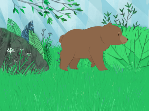 Walking Bear (Earth Day)
