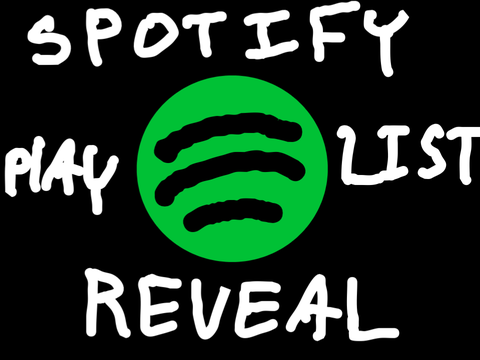 Spotify Playlist Reveal!
