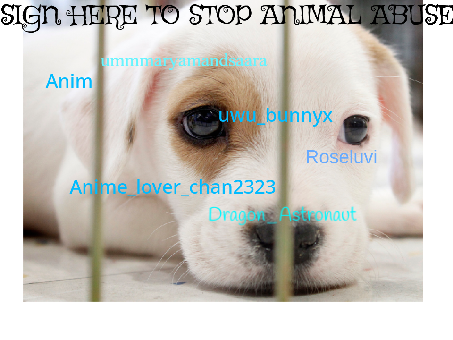 SIGN HERE TO STOP ANIMAL ABUSE remix remix remix remix remix remix remix