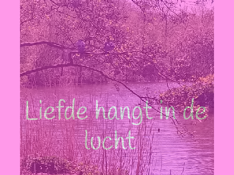 Romantisch duiven paartje