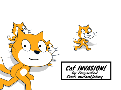 CAT INVASION!?!?! 