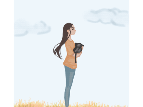       ^ｆｉｅｌｄ　ａｎｉｍａｔｉｏｎ^