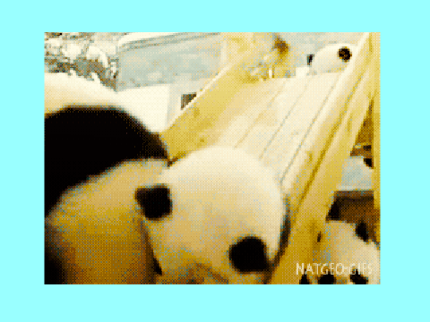 More Pandas