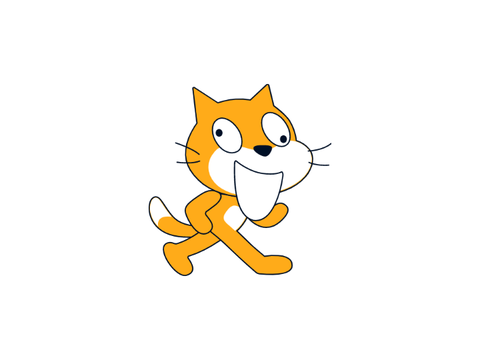 Crazy Scratch Cat