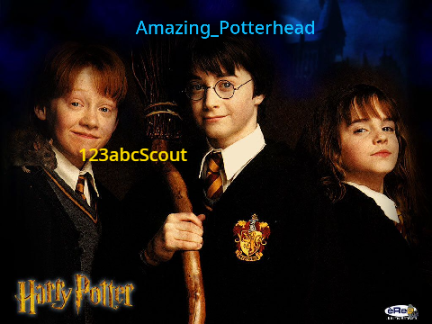 Sign if you are a Potterhead!! remix