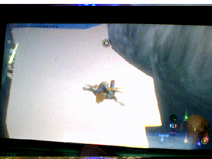 Glitches in BOTW