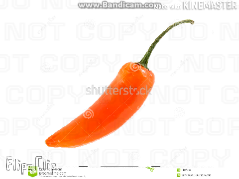 orangee fancam