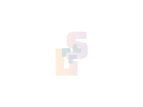lizeus10salmon || Logo