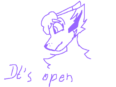 DT'S OPEN