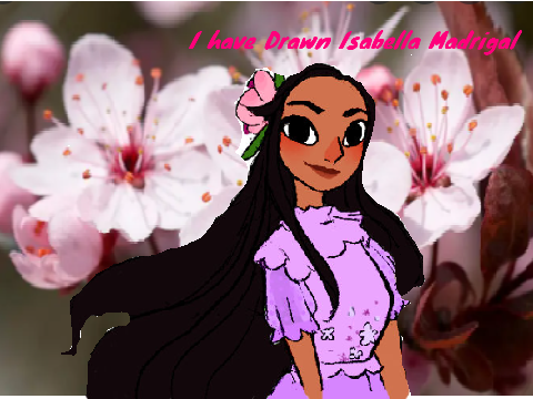 Drawing for the Encanto Contest By Anika Kishore