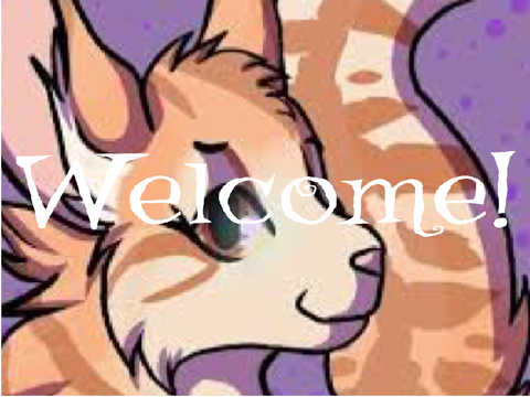 ✧ Welcome! ✧