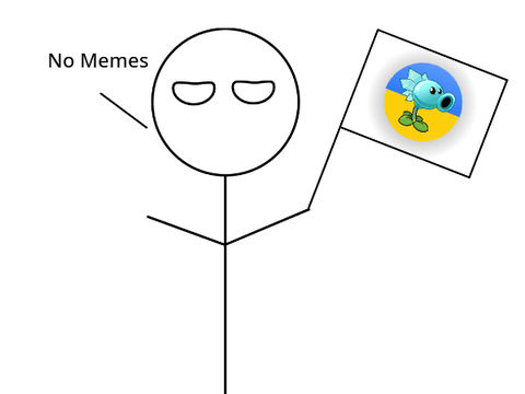 Meme Exception