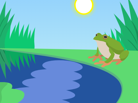 Frog animation