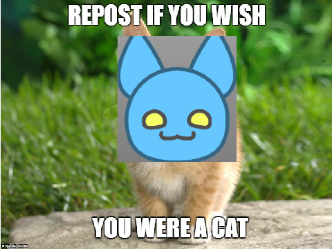 Repost If You Wish You, Were A Cat! remix  remix