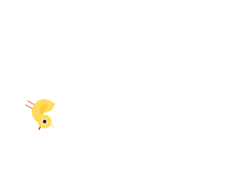 Chicki Makes Cool Shapes