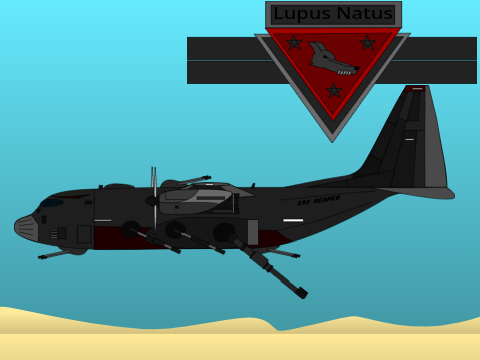 "Sky Reaper"