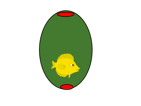 Greg The Butterfly